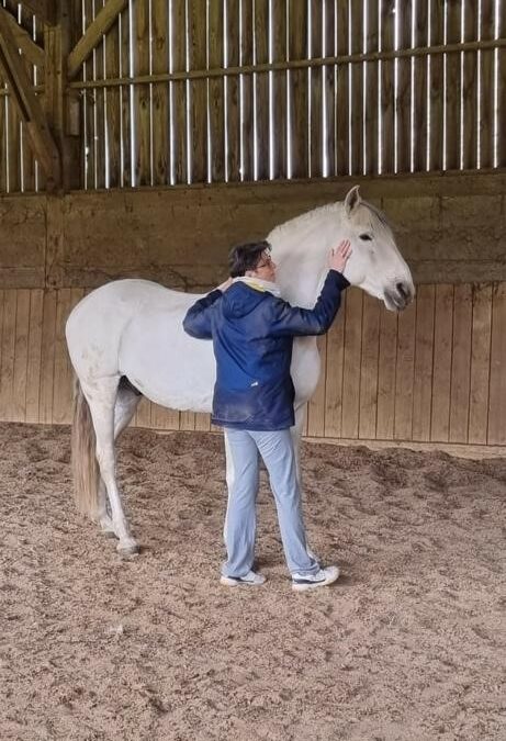 Le coaching par le cheval