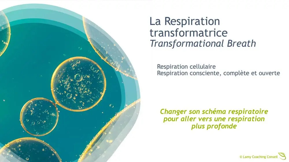 Lamy-Coaching_Conseil-Respiration-Transformatrice